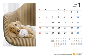 犬のカレンダー2012年5月