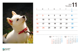 犬のカレンダー2014年11月