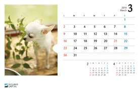 犬のカレンダー2014年3月