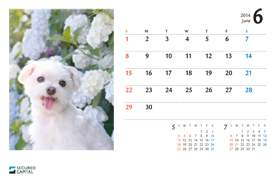 犬のカレンダー2014年6月