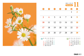 オリジナル花の卓上カレンダーVol.2の11月