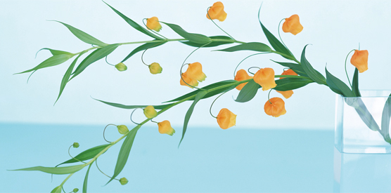 オリジナル花の卓上カレンダーVol.2の表紙