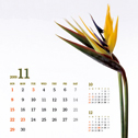 花の卓上カレンダーVol.2
