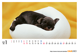 犬のカレンダー2008年1月