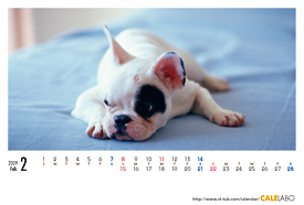 犬のカレンダー2008年2月