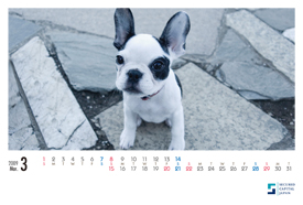 犬のカレンダー2009年3月