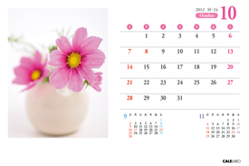 オリジナル花の卓上カレンダーVol.1の10月