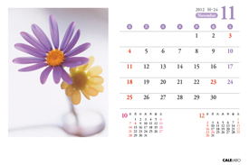 オリジナル花の卓上カレンダーVol.1の11月