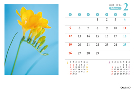 オリジナル花の卓上カレンダーVol.1の2月