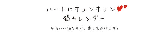 ハートにキュンキュン猫カレンダー