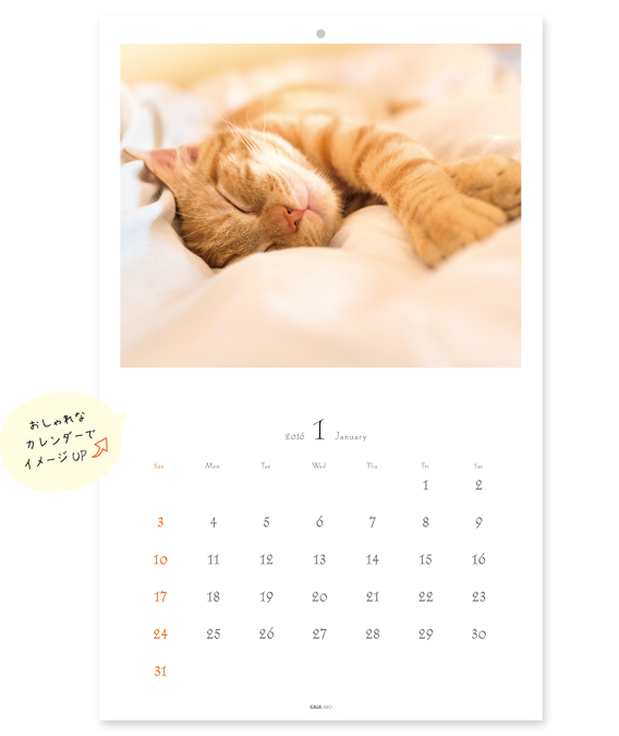 カワイイ猫カレンダー1月