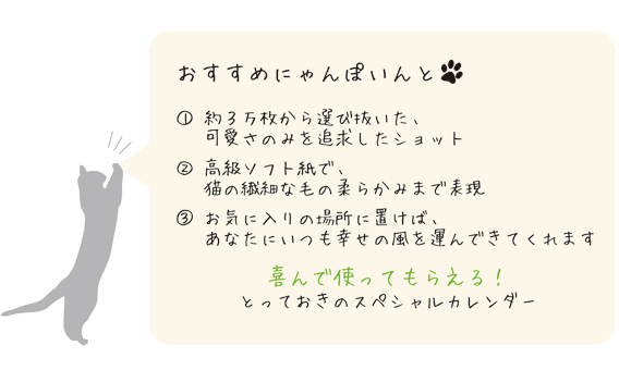 カワイイ猫カレンダーのポイント