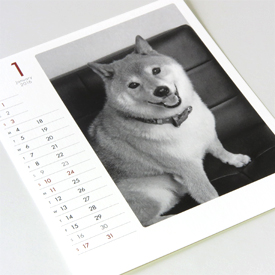 モノクロ写真の犬カレンダーの1月