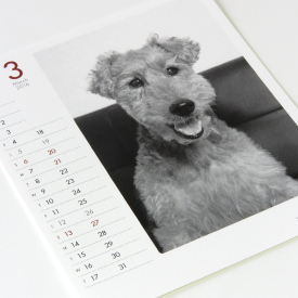 モノクロ写真の犬カレンダーの3月