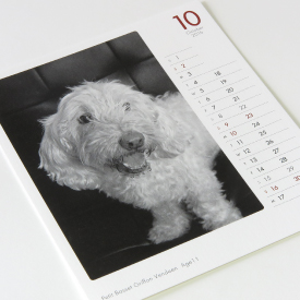 モノクロ写真の犬カレンダーの9月